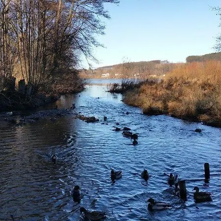 Am Sorpesee דירה Allendorf (North Rhine-Westphalia)