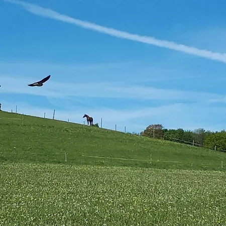 Am Sorpesee Allendorf (North Rhine-Westphalia)