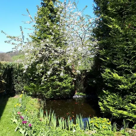 Am Sorpesee Allendorf (North Rhine-Westphalia)