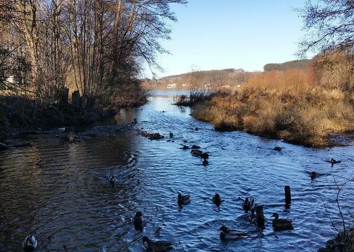 Am Sorpesee Daire Allendorf (North Rhine-Westphalia)