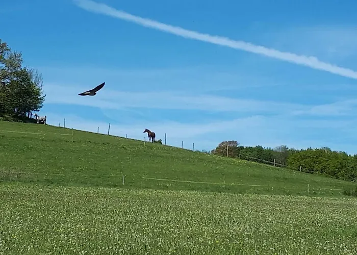 Am Sorpesee Allendorf (North Rhine-Westphalia)