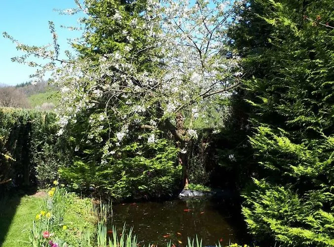 Am Sorpesee Allendorf (North Rhine-Westphalia)